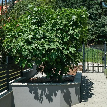 Fügefa Apartment Balatonalmádi