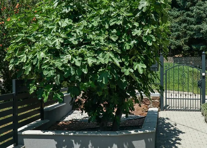 Fuegefa 아파트 발라톤알마디